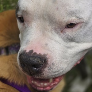 Fundraising Page: Christina Czaja